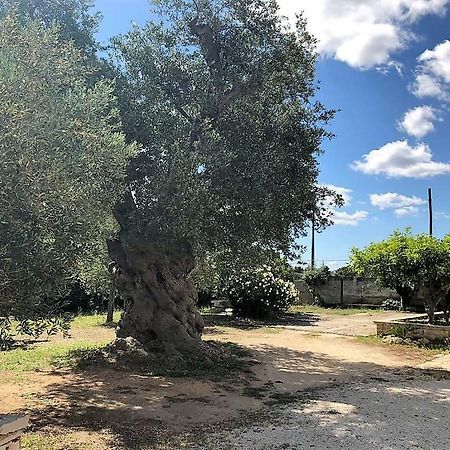 Le Stanze Di Casa Polinisso Casa de hóspedes Carovigno Exterior foto