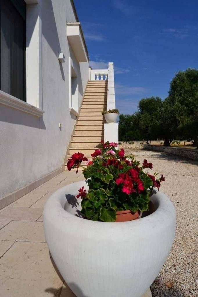 Le Stanze Di Casa Polinisso Casa de hóspedes Carovigno Exterior foto